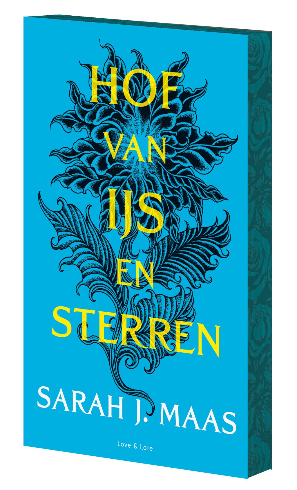 Hof van ijs en sterren