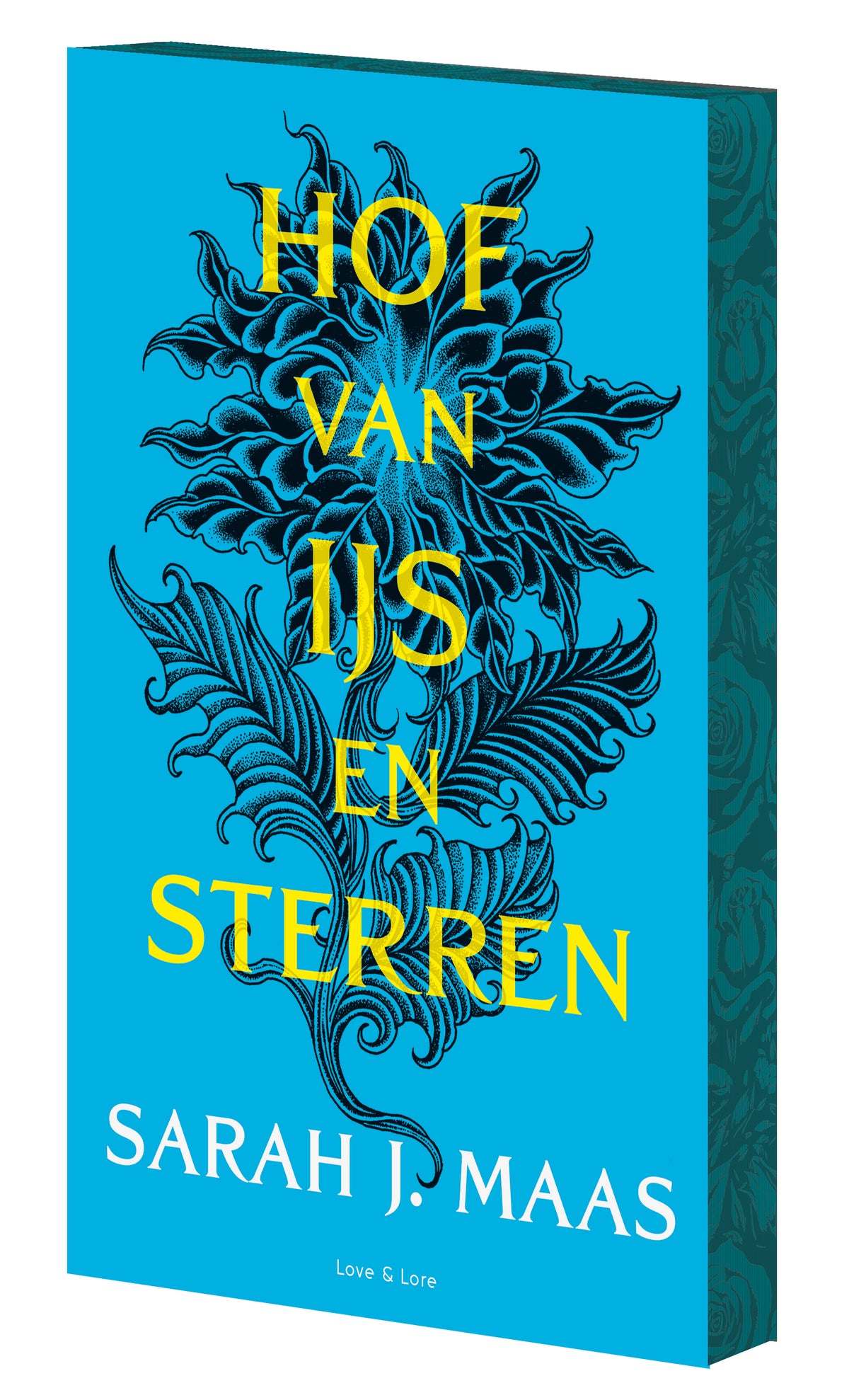 Hof van ijs en sterren