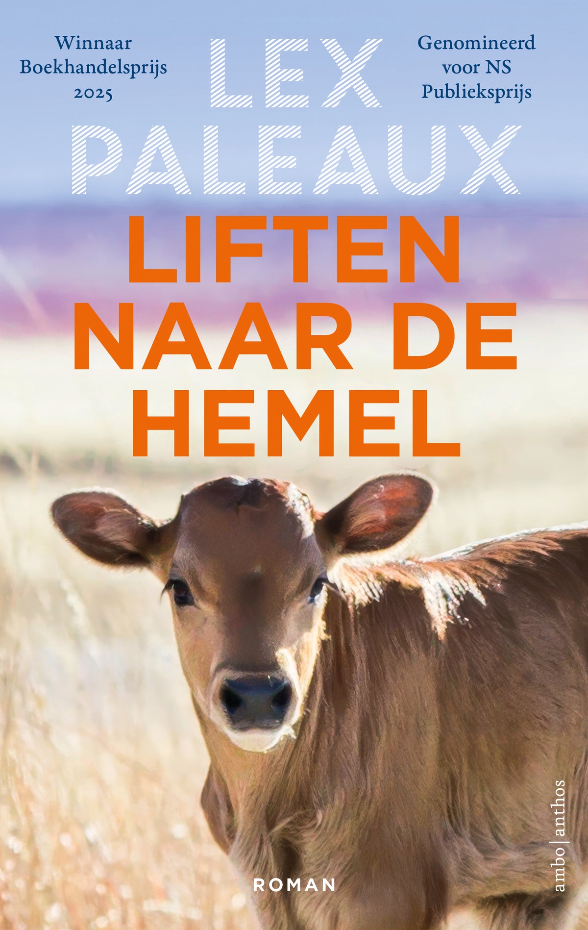 Liften naar de hemel
