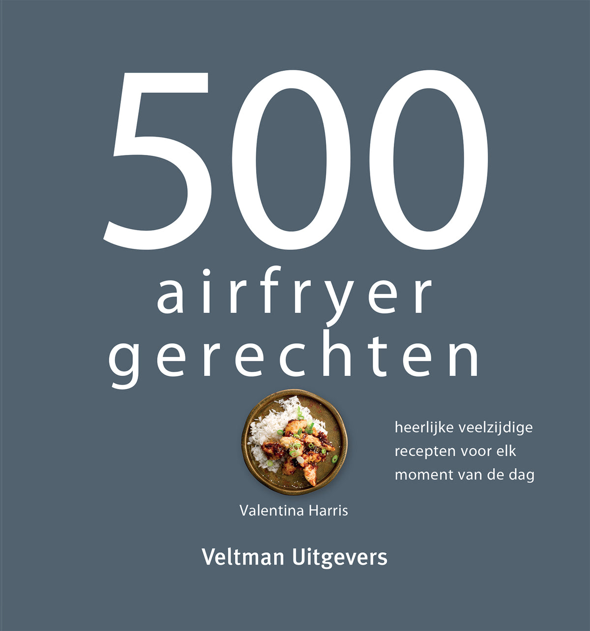 500 airfryer gerechten