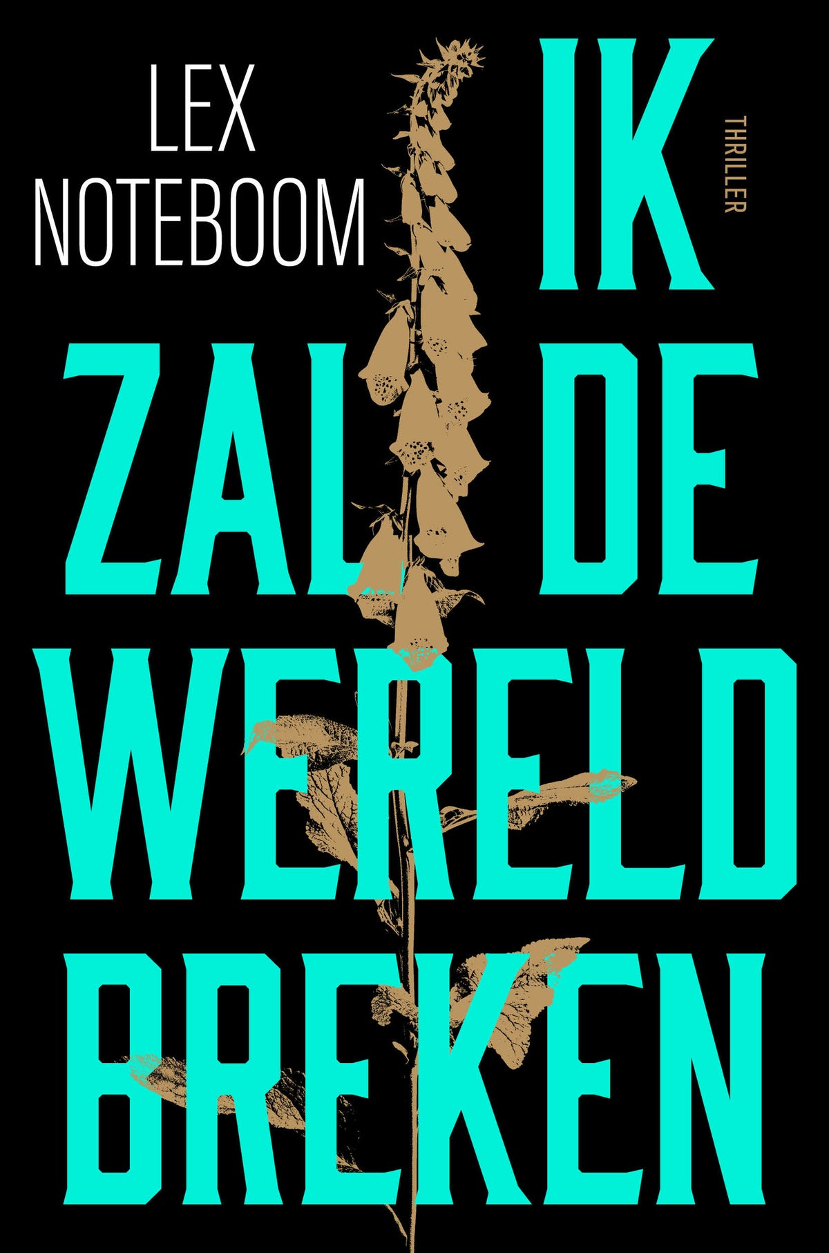 Ik zal de wereld breken