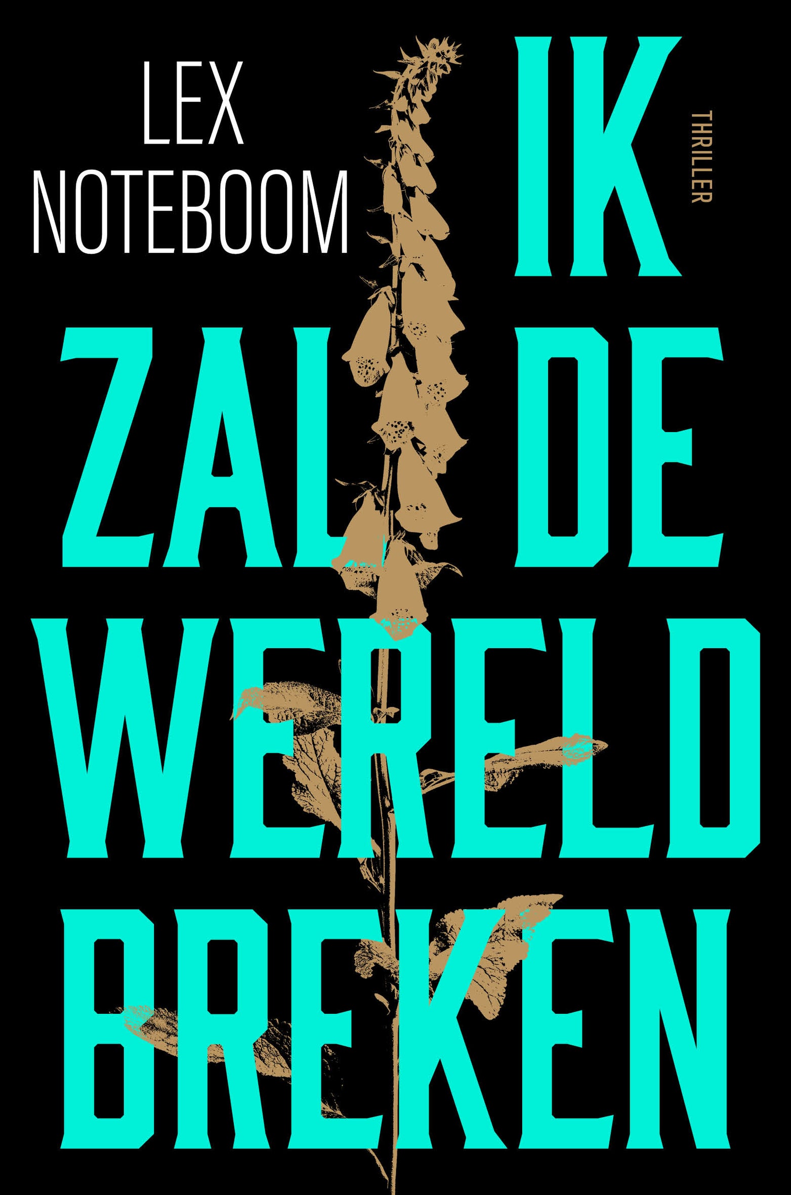 Ik zal de wereld breken